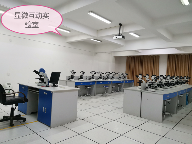 邵老师指导下的基础医学实验教学 实验场地、仪器设备与教学图片一览